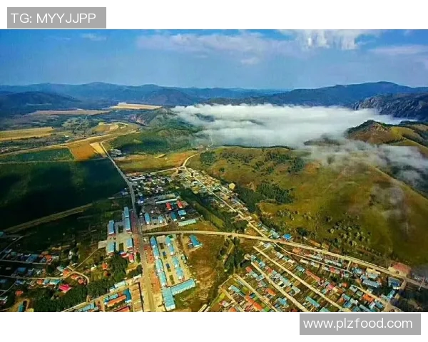 足球明星李哥的精彩人生与成就全景介绍及相关图片展示